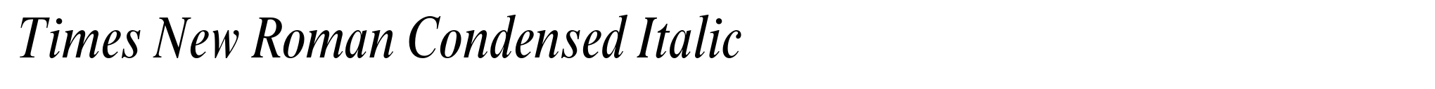 Times New Roman Condensed Italic image